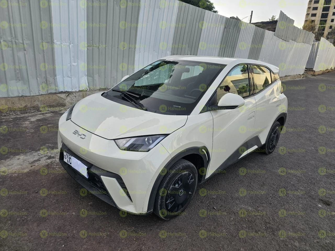 2024 Model-BYD Seagull