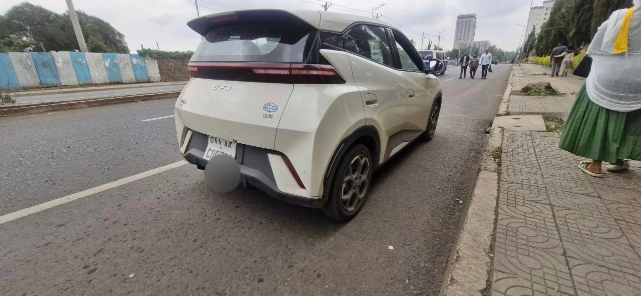 2025 Model-Suzuki Seagull