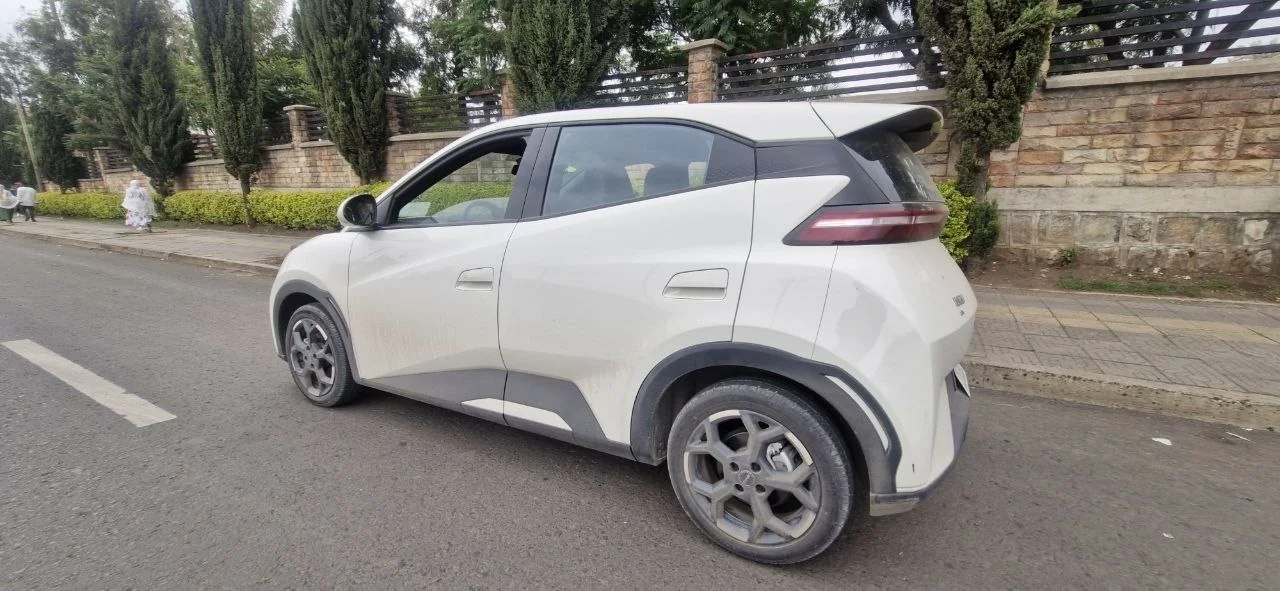 2025 Model-Suzuki Seagull