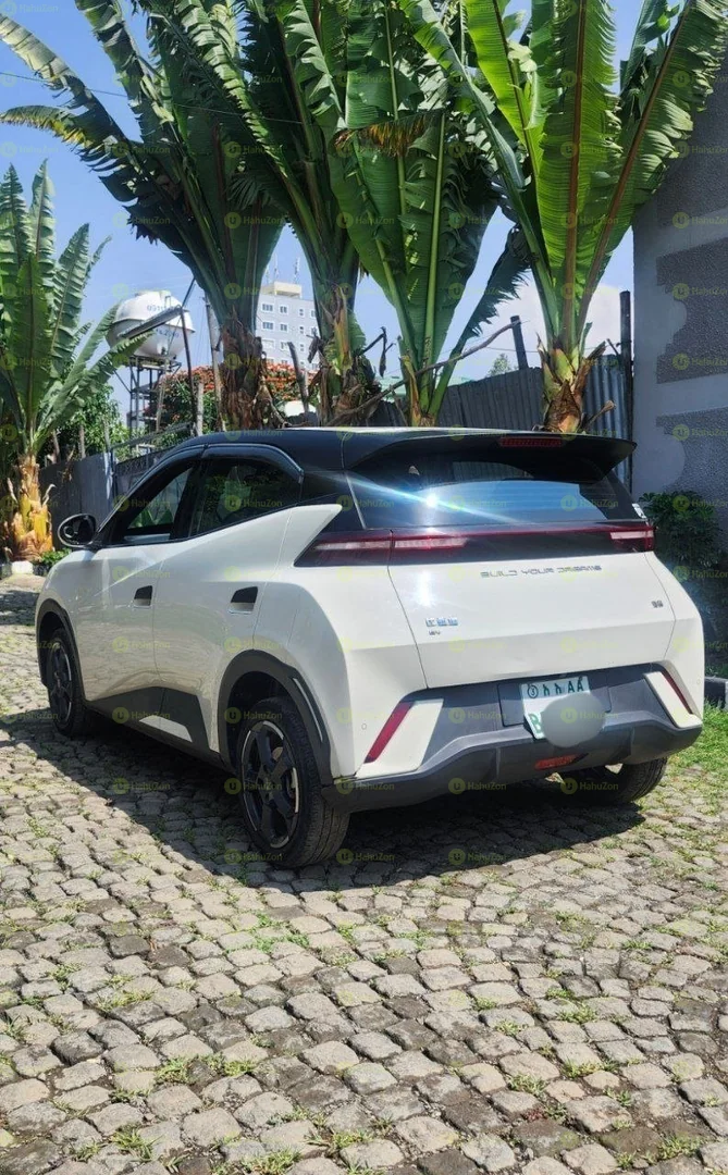 2024 Model- BYD Seagull