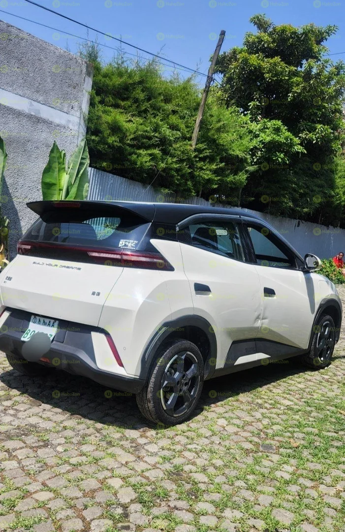 2024 Model- BYD Seagull