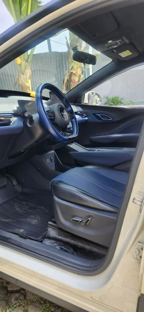 2024 Model- BYD Seagull