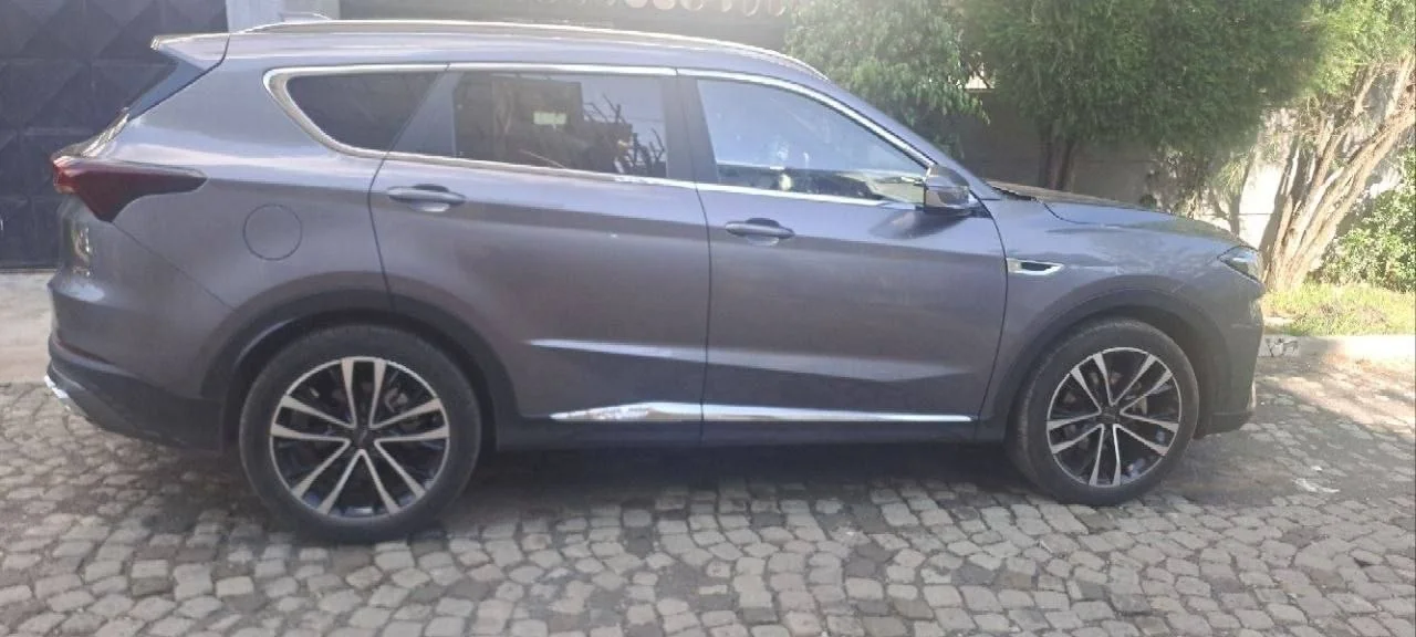 2022 Model-Jetour Cherry