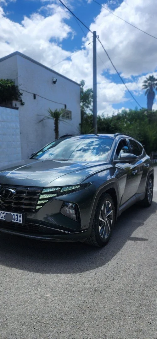 2022 Model-Hyundai Tucson