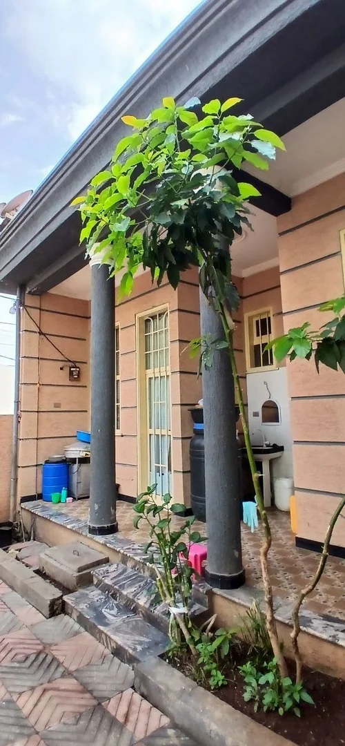 175 ካሬ የሚሸጥ ቪላ ቤት በአያት