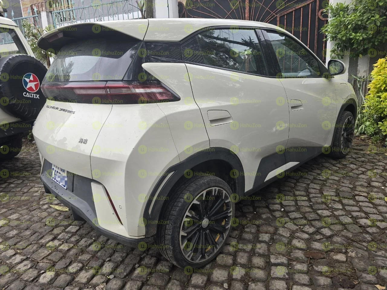 2024 Model-BYD Seagull