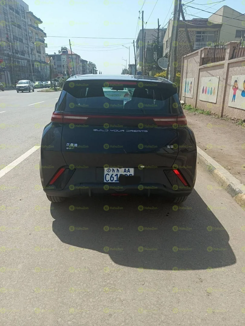 2024 Model-BYD Seagull