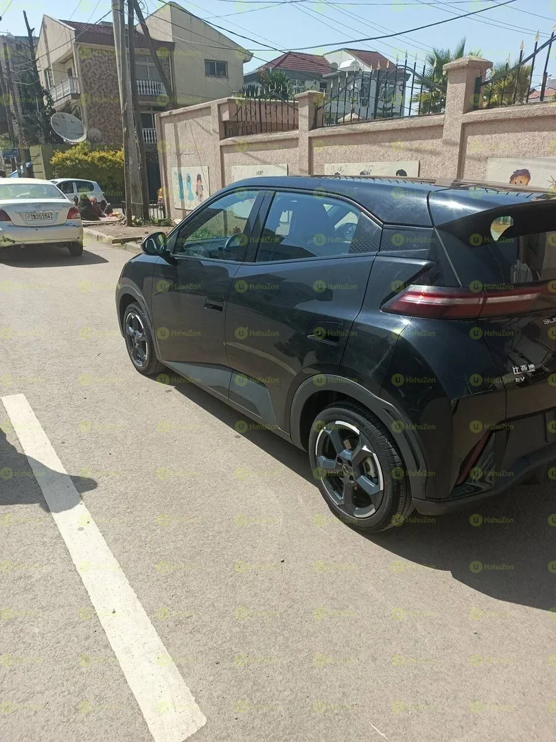 2024 Model-BYD Seagull