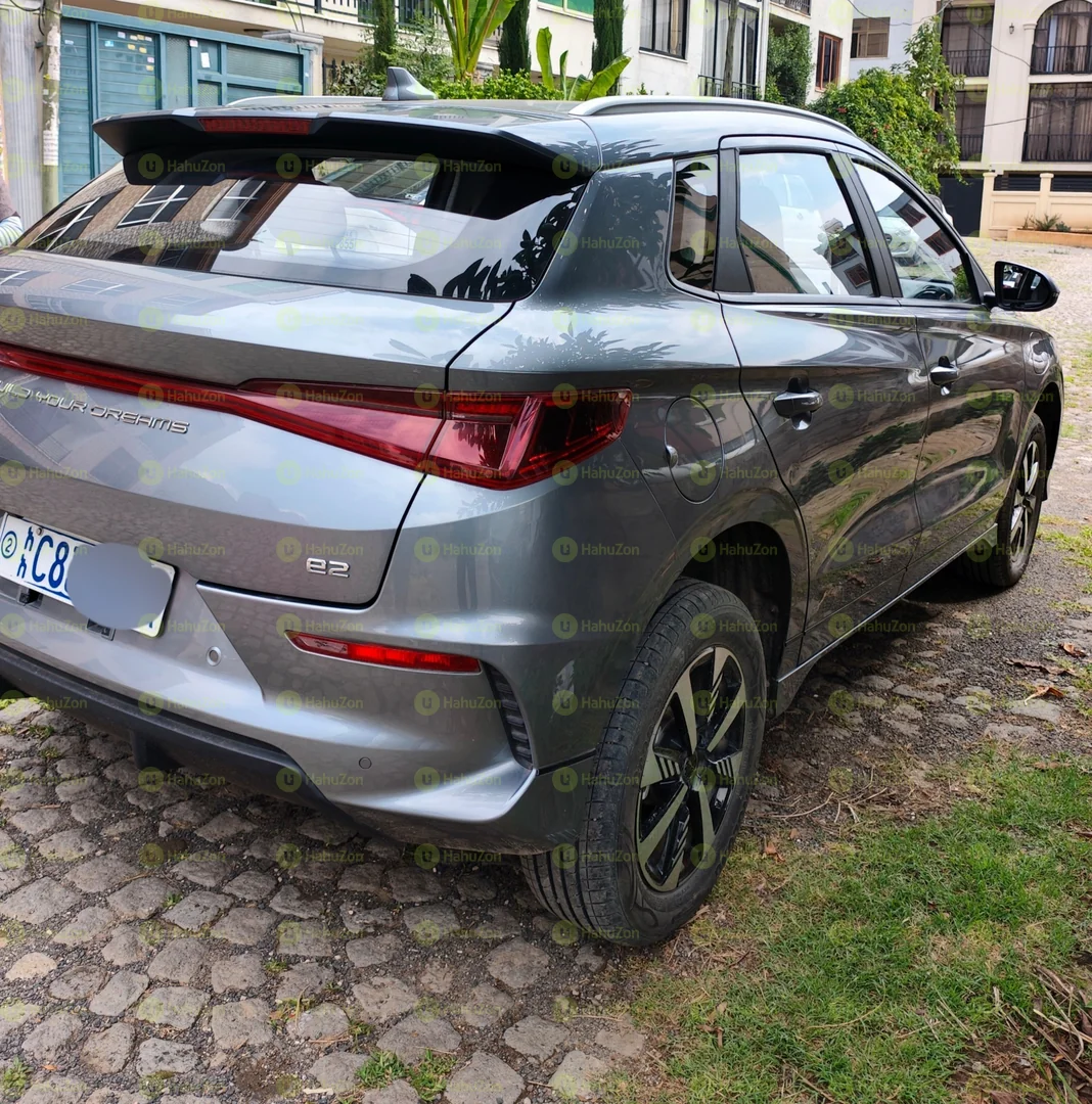 2025 Model-BYD E2
