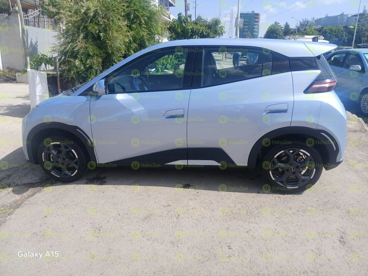2025 Model-BYD Segull