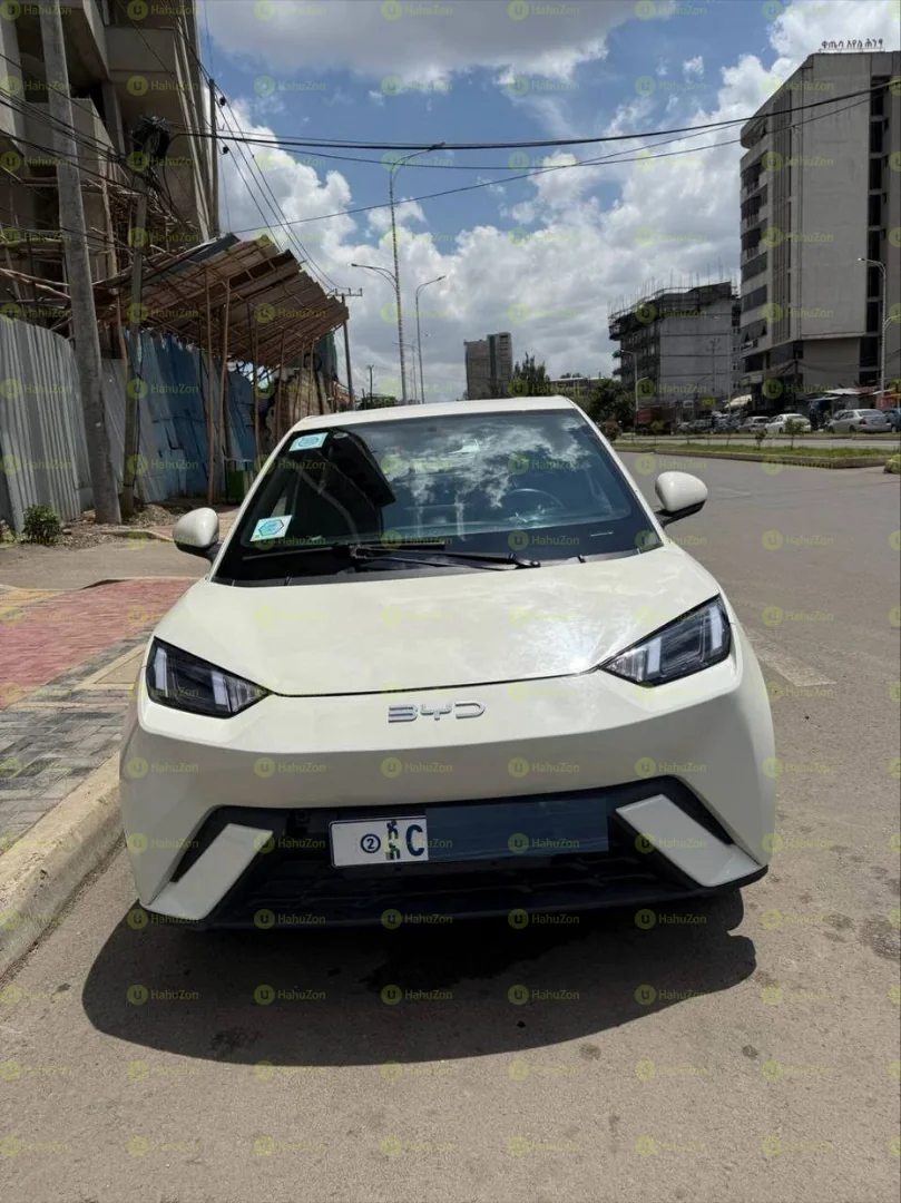2024 Model-BYD Segull