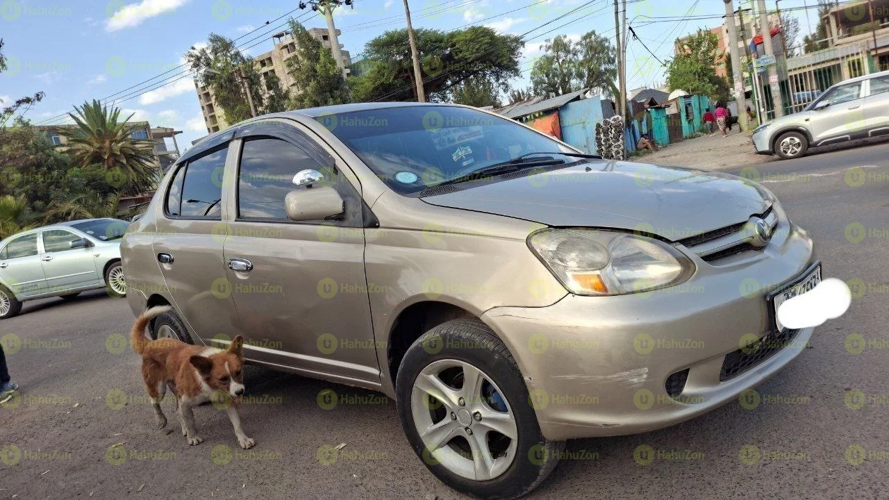 2004 Model-Toyota Pltaz