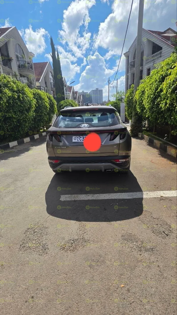 2022 Model-Hyundai Tucson