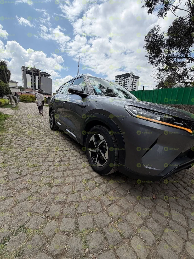 2024 Model-BYD Yuan Up