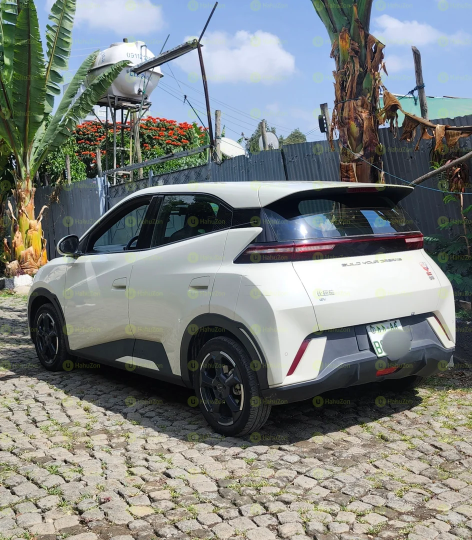 2025 Model-BYD Seagull