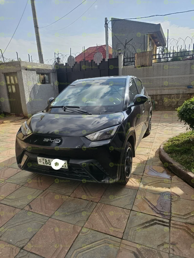 2024 Model-BYD Seagull