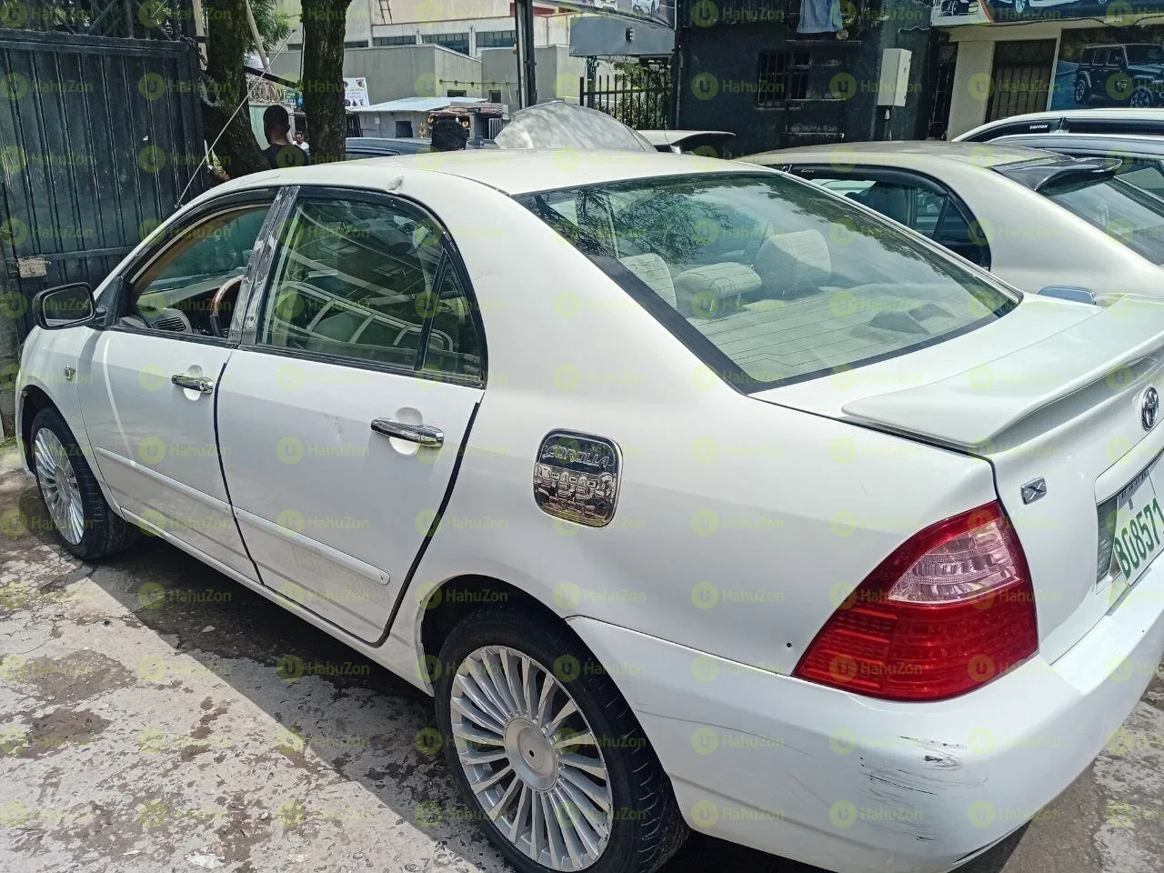 2024 Model-Toyota Corolla