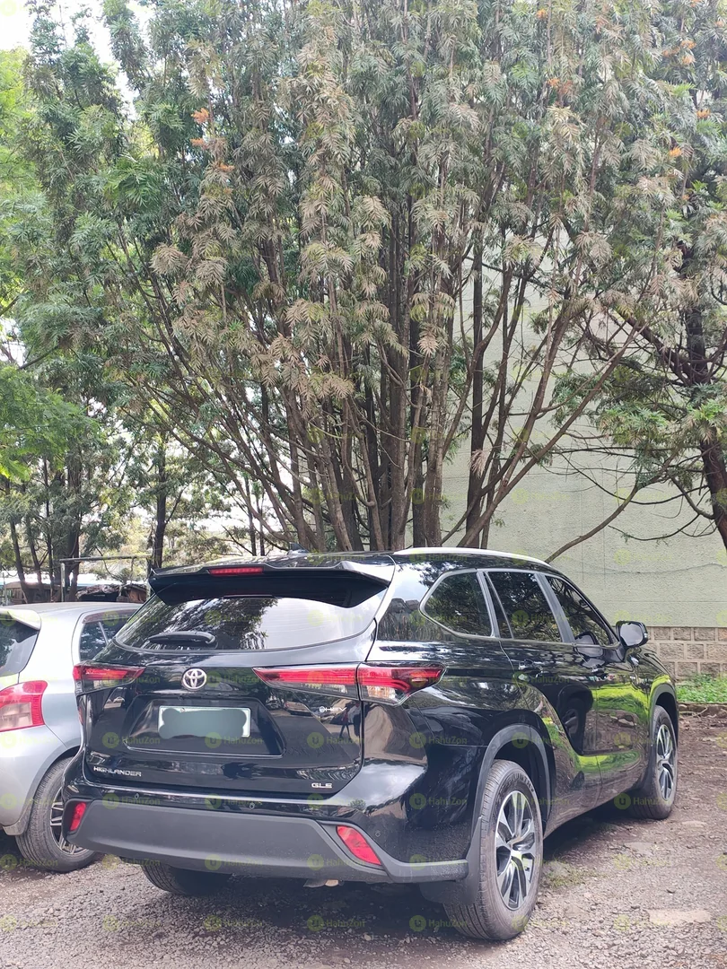 2025 Model-Toyota Highlander gle