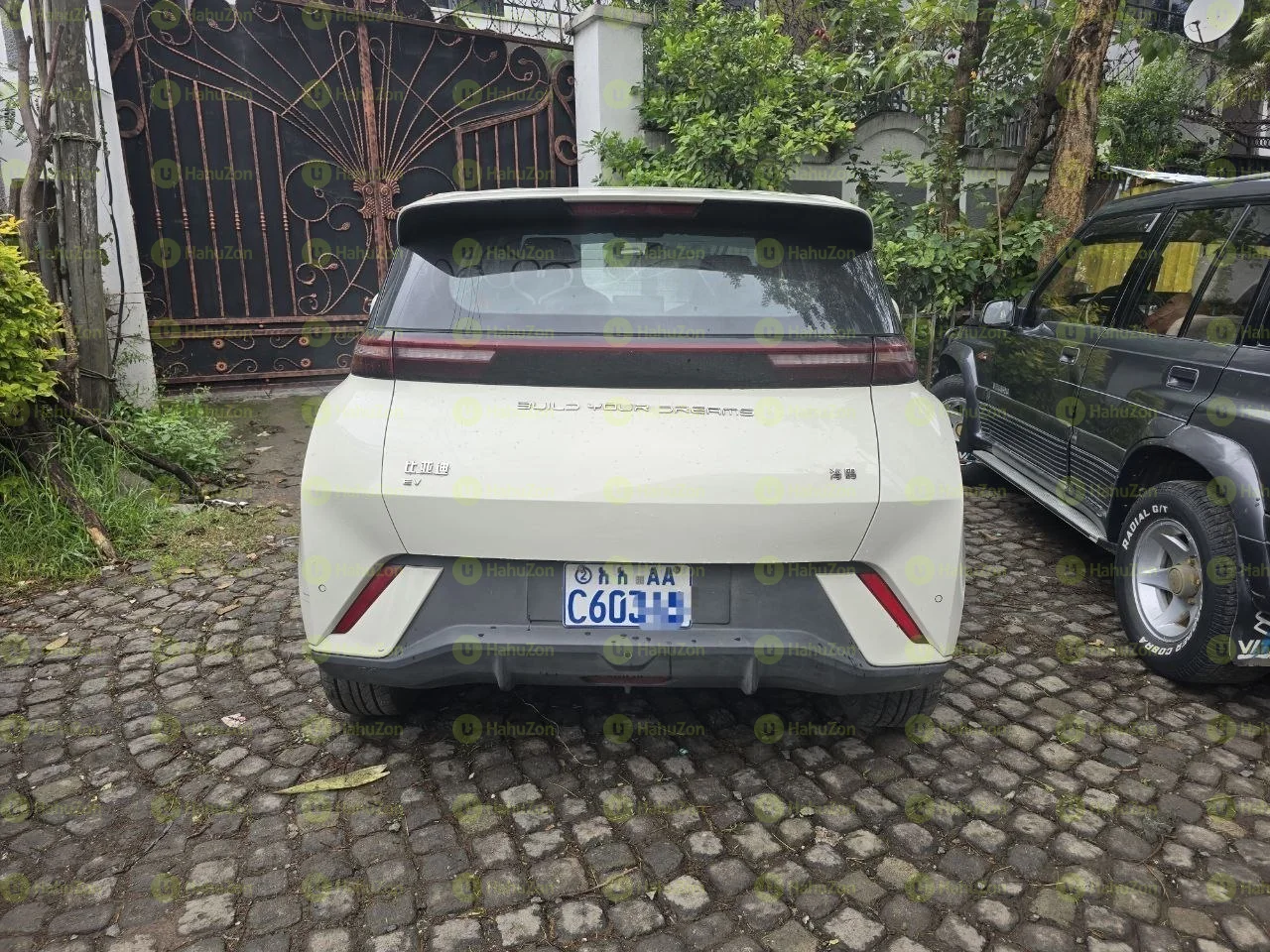 2008 Model-BYD Seagull