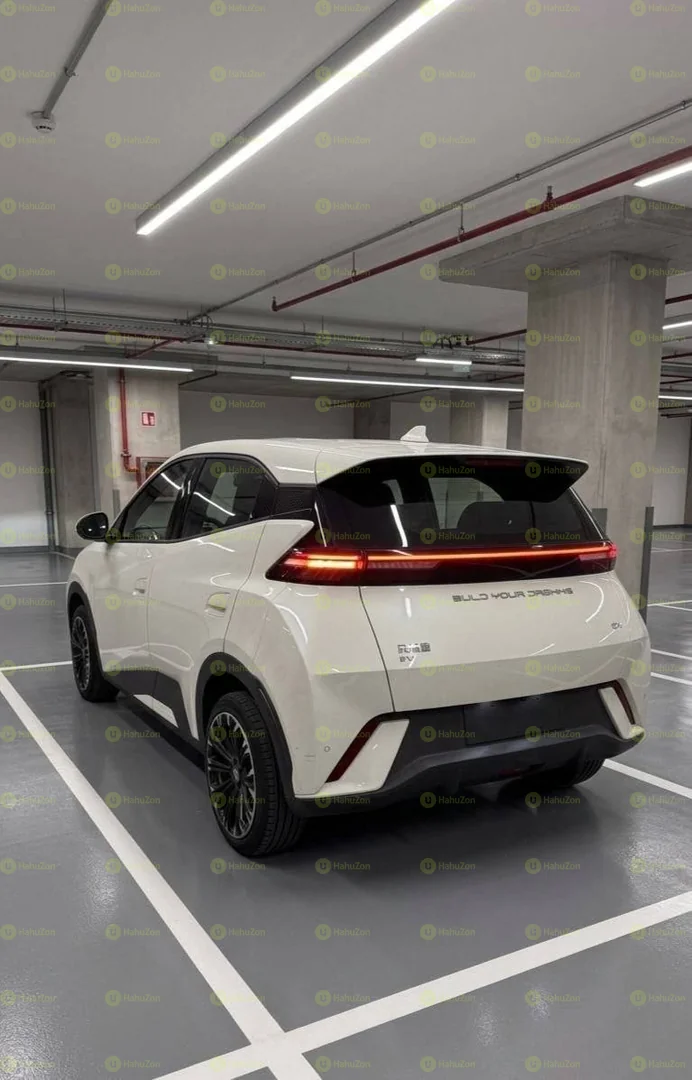 2022 Model-BYD Seagull