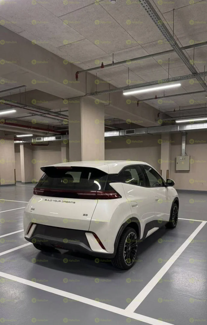 2022 Model-BYD Seagull