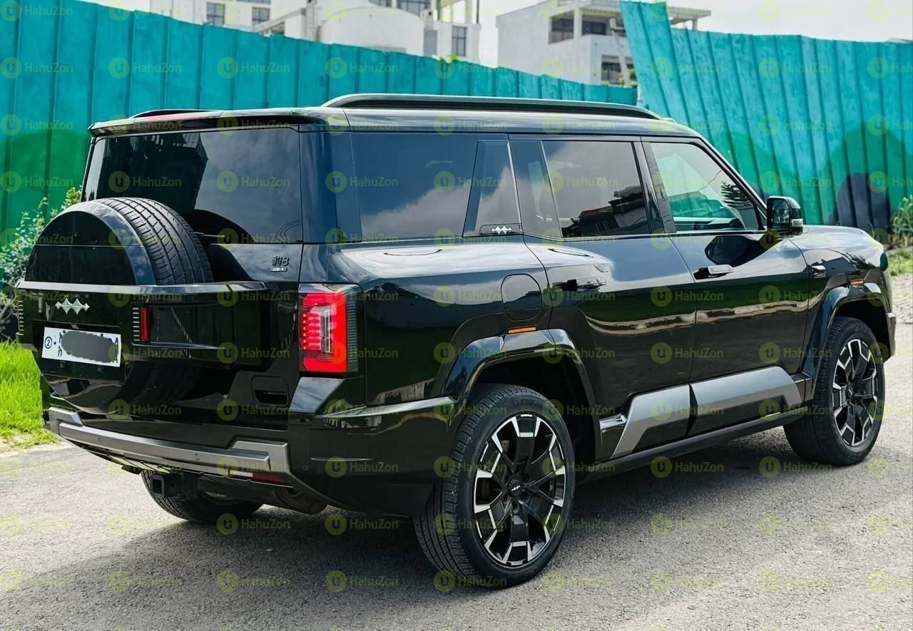 2025 Model-BYD Leopard 08
