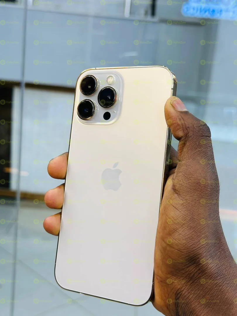 iPhone 13 Pro Max
