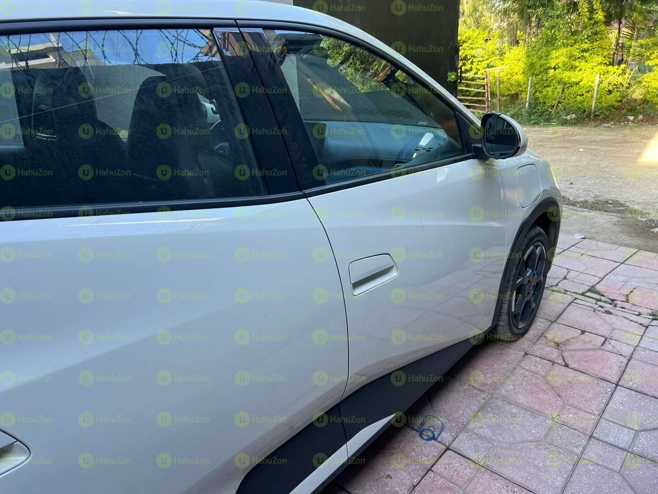 2025 Model-BYD Segull