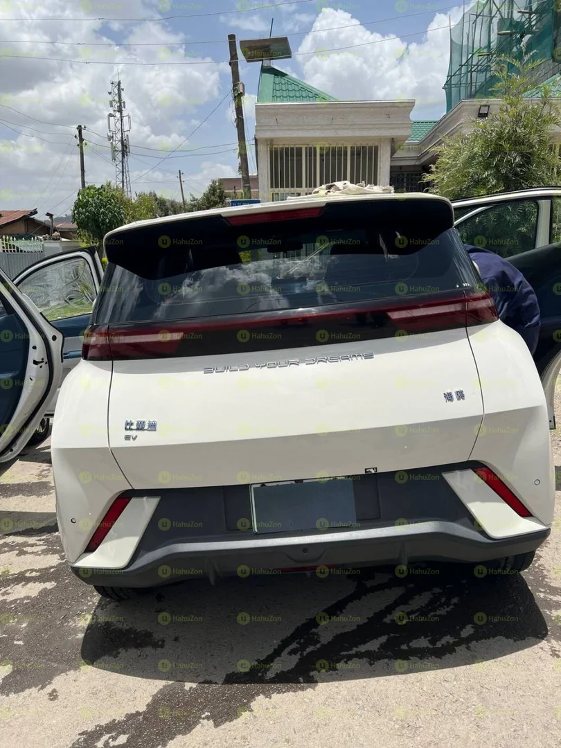 2024 Model-BYD Seagull