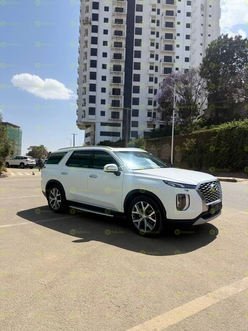 2017 Model-Hyundai Palisade