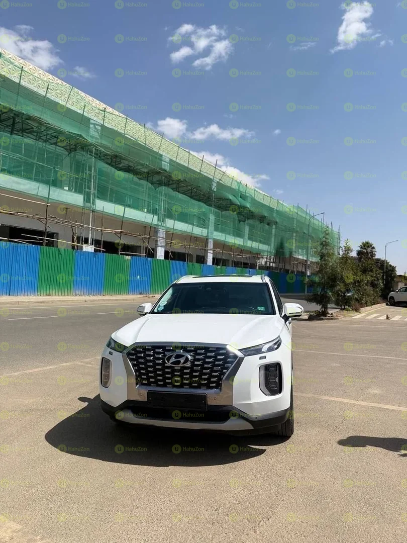 2017 Model-Hyundai Palisade