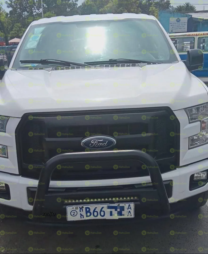 2015 Model-Ford F-150  XLt