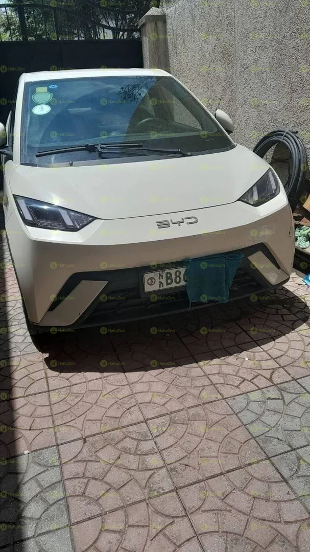 2005 Model-BYD Seagull