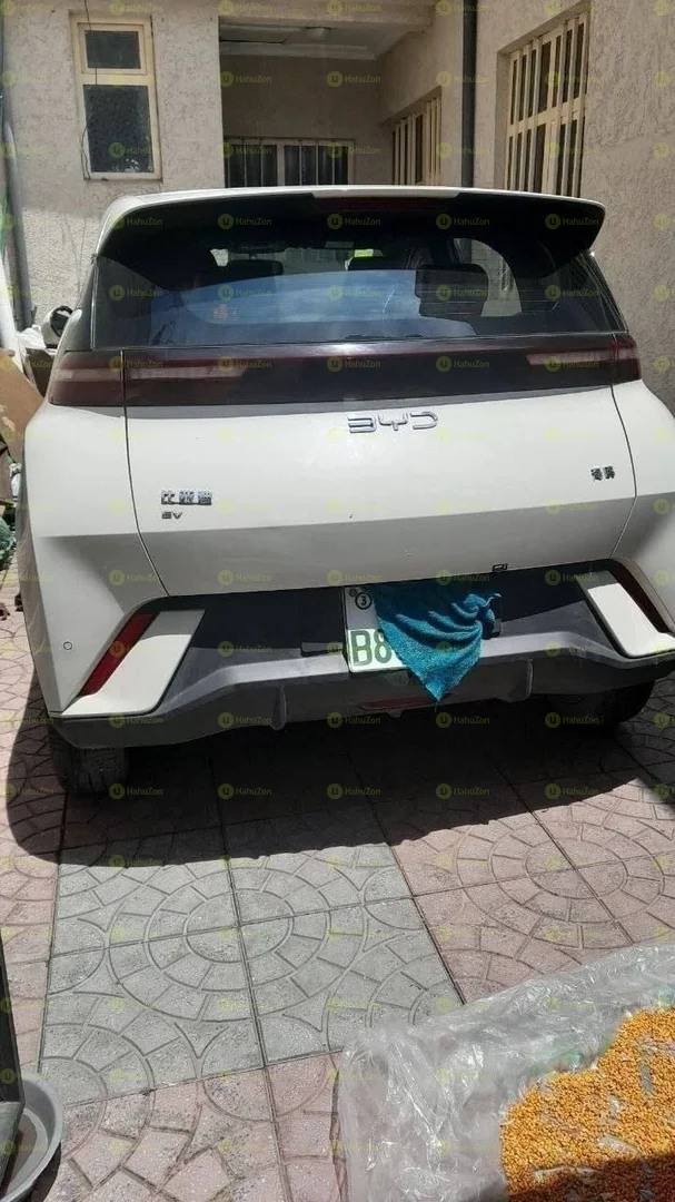 2005 Model-BYD Seagull