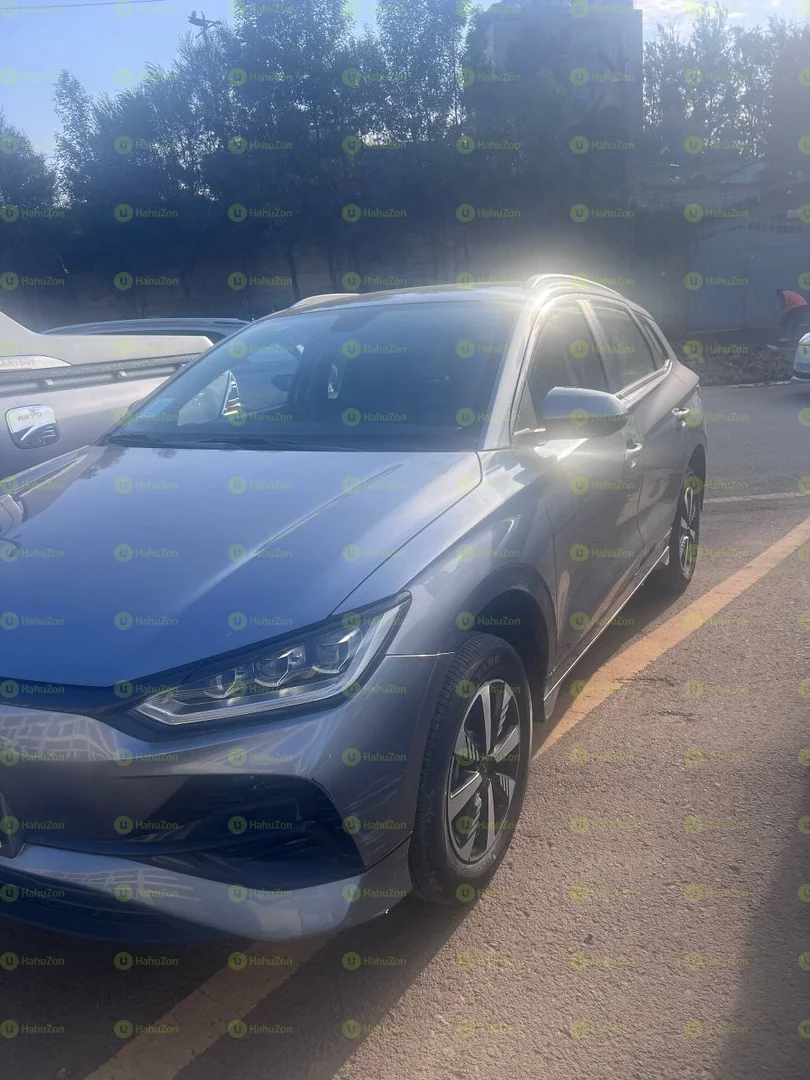 2025 Model-BYD E2