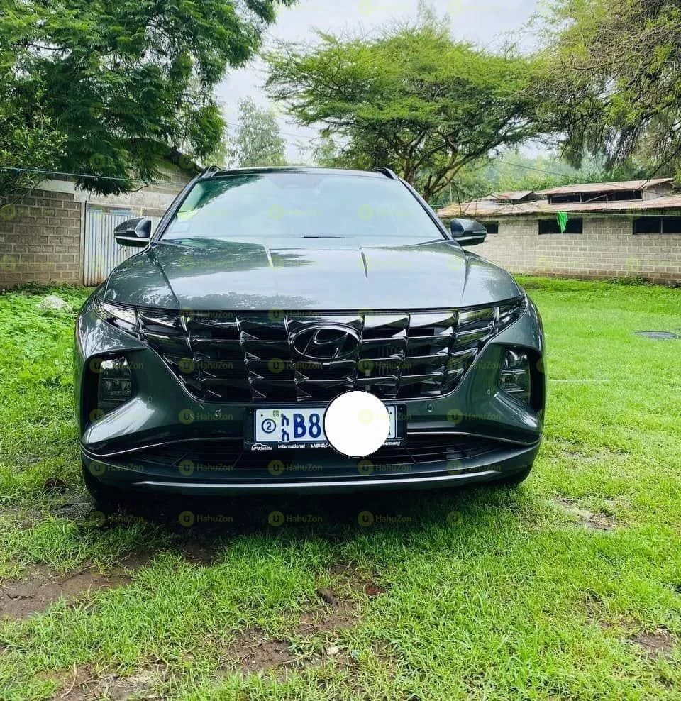 2021 Model-Hyundai Tucson