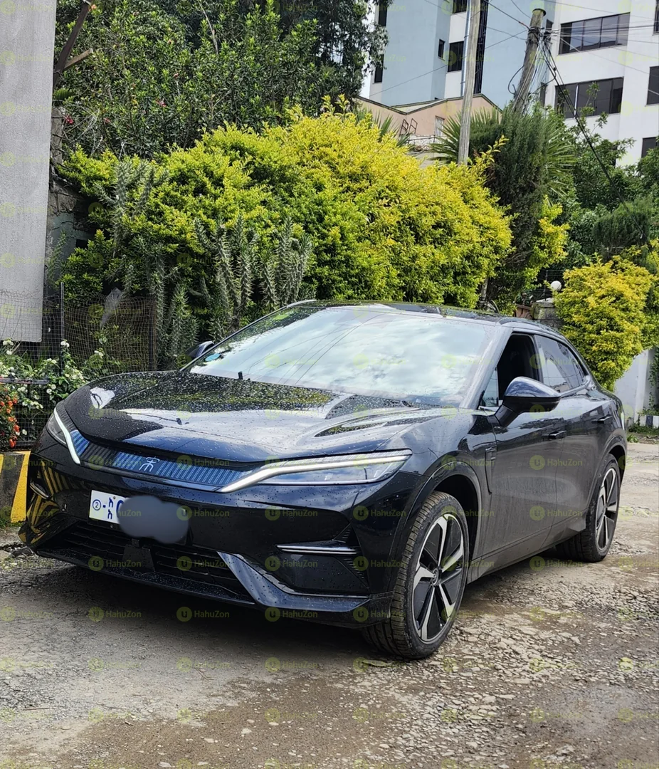 2024 Model-BYD Model Song L