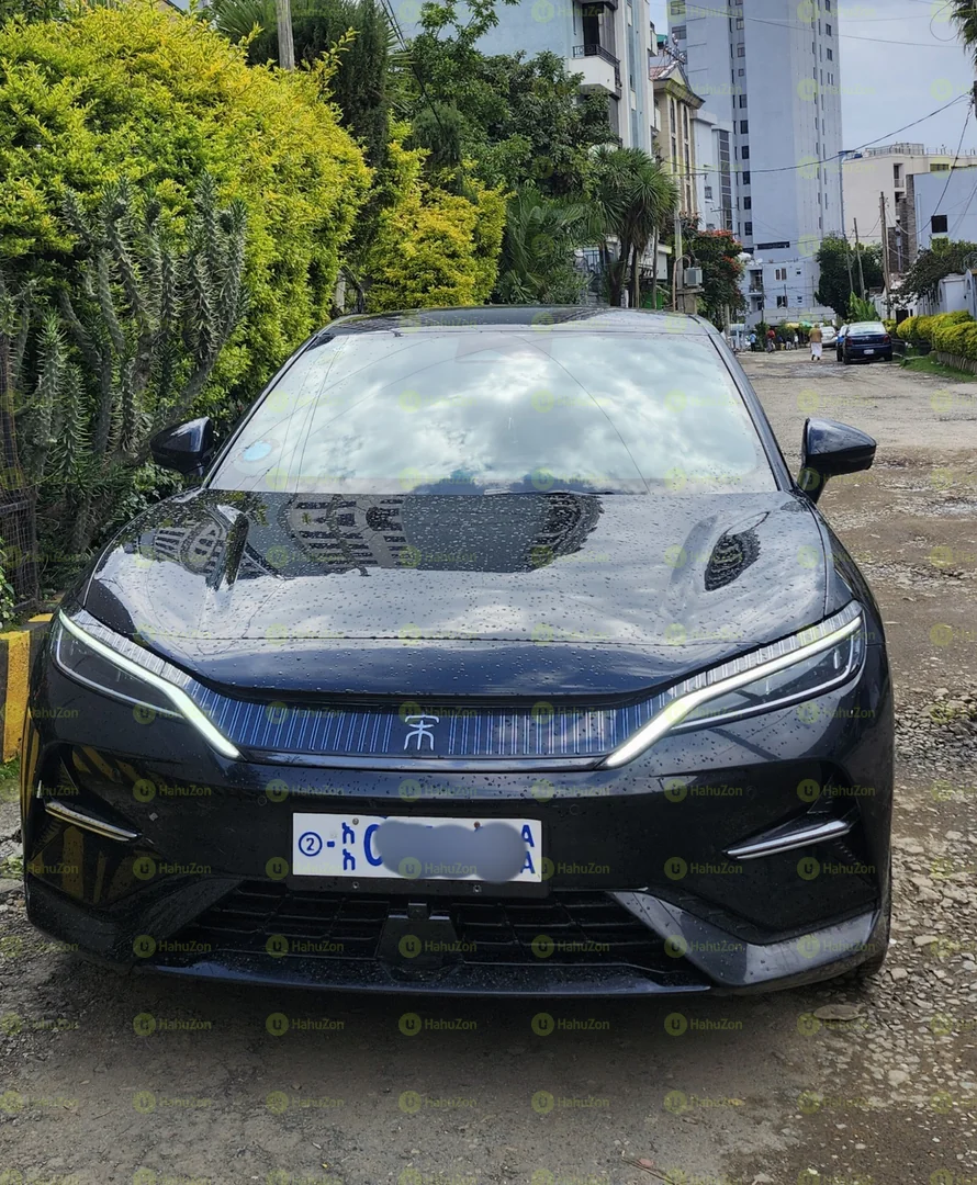 2024 Model-BYD Model Song L
