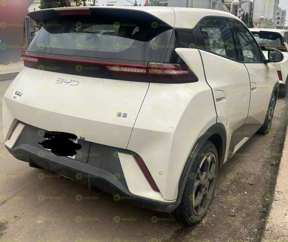 2025 Model-BYD Seagull