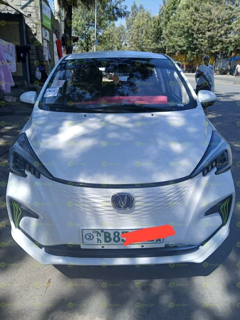 2023 Model-Changan Benben e-star