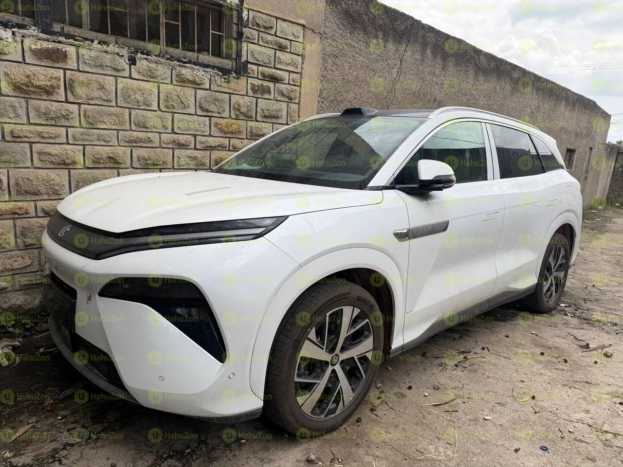 2025 Model-Tang L Hybrid