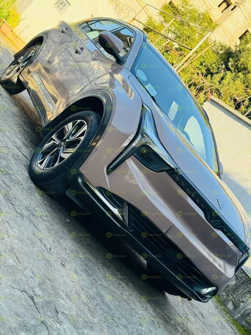 2023 Model-Hozon NETA U