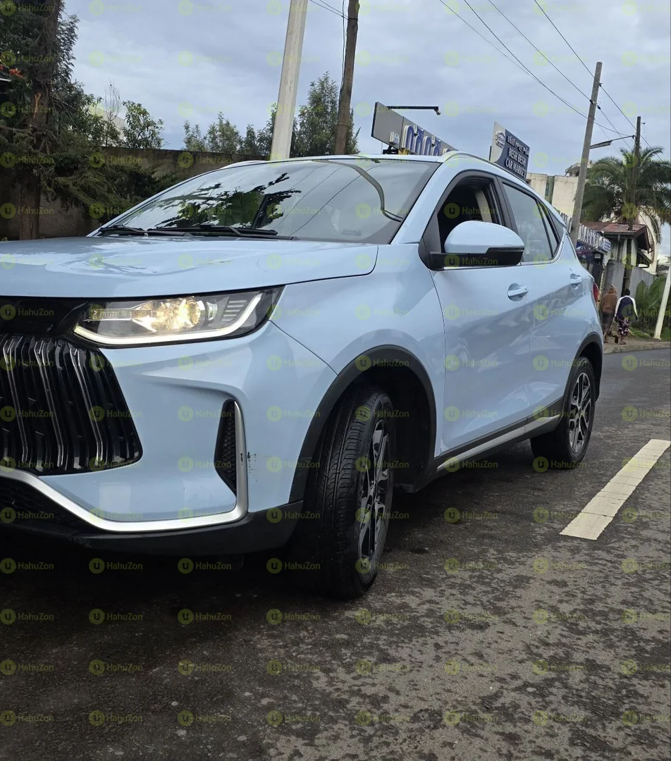 2024 Model-Jetour X50