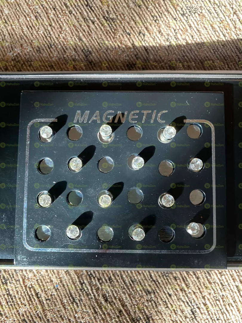 Magnetic Earrings