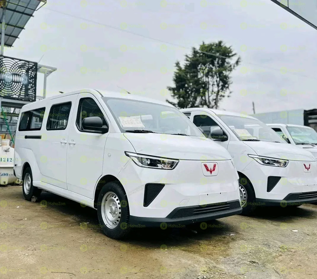 2026 Model-Wuling Yangguang
