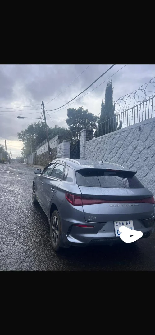 2024 Model-BYD E2