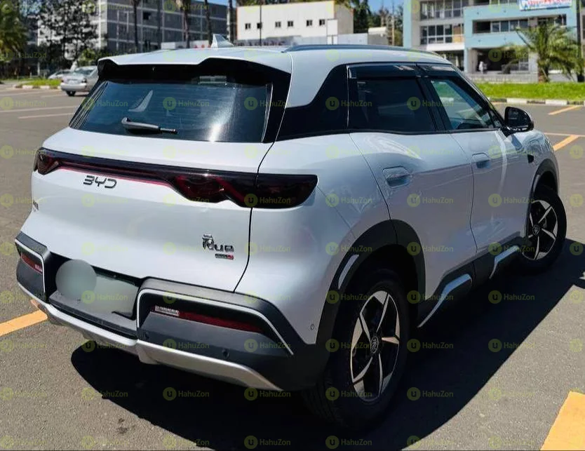 2025 Model-BYD Yuan Up smart