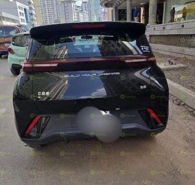2025 Model-BYD Seagull