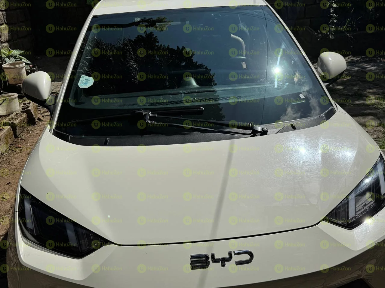 2025 Model-BYD Seagull
