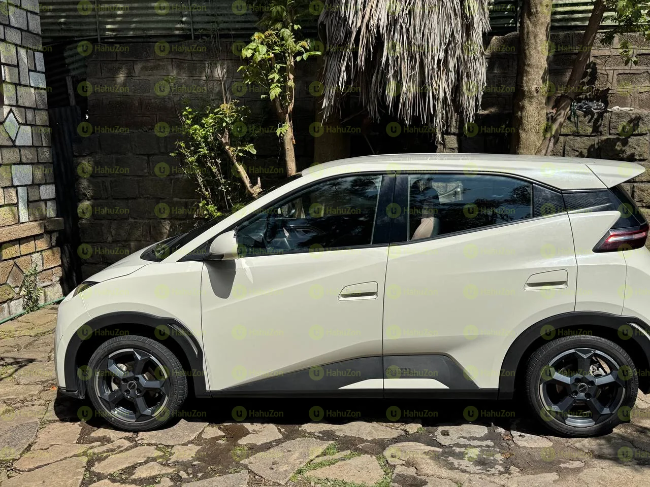 2025 Model-BYD Seagull